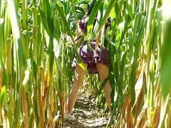 Horny Brunette Gives Blowjob in Cornfield - Outdoor POV Creampie