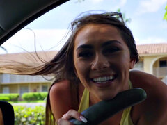 Bruinharig, Auto, Hondjeshouding, Slipje, Klein, Gezichtspunt, Kut duiken, Mager