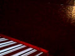 ブルガリア人, ホテル, パーティ
