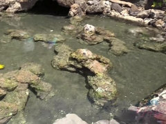 Amateur, Playa, Pareja, Novia, Pov, Afeitado, Fumando, Tetas