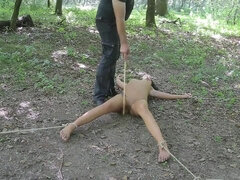 Bondage domination sadisme masochisme, Hd, Humiliation, De plein air, Public, Rousse roux, Esclave, Nénés