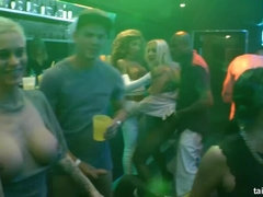 Bruinharig, Genootschap, Pop, Hardcore, Zoenen, Likken, Feest, Pornster