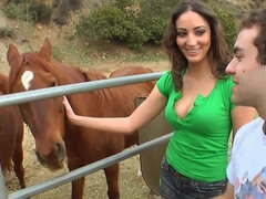 Perra, Mamada, Morena, Corridas, Granja, Guantes, Pajear, Sexo duro