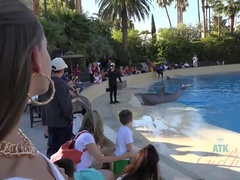 Ванна, Платье, Подружка, Каблуки, От первого лица, Киски, Бритые, Сиськи