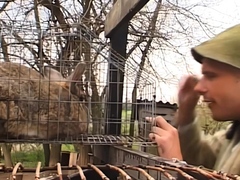 Анальный секс, Блондинки, Минет, Пальцем, Секс без цензуры, Чулки, Винтаж