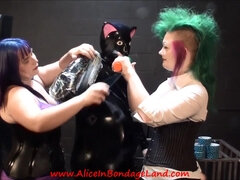 Rubber Kitty Punch Shagging - Femdom Porn
