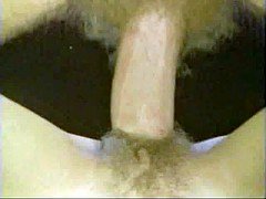 Peludo, Sueco, Clasico