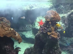 Brunette brune, Fétiche, Doigter, Hd, Fille latino, De plein air, Maigrichonne, Gicler