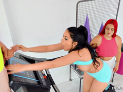 Chambre à dormir, Gros cul, Sucer une bite, Brunette brune, Gym, Cuisine, Plan cul à trois