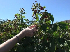 Robe, Ferme, Exhib, Petite amie, Petite femme, Pov, Public, Rasée