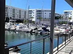 Gotfilled Stuffing Laney Grey's Box