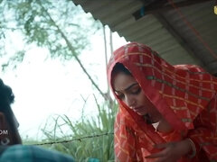 Categorie - Rondborstig