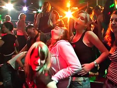 Enthousiasteling, Lieveling, Hardcore, Feest