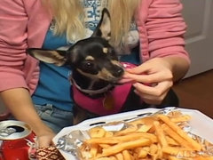 ブロンド, フェラチオ, 食べ物, 手コキする, ハードコア, 一人, ティーン, オッパイの