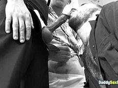 Забавное, Геи