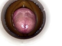 Amateur, Homosexuelle, Hd, Masturbation, Sperme, Jouets