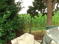 In den arsch, Schönheit, Geile alte tussi, Flotter vierer, Hd, Milf, Muschi, Flotter dreier