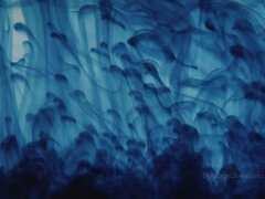 Cul, Gros cul, Bondage, Fétiche, Orgasme, Caoutchouc, Nénés, Jouets