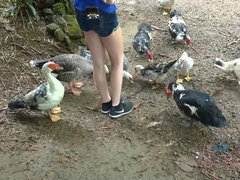 Любители, Пляж, Блондинки, Минет, Подружка, От первого лица, Киски, Сиськи