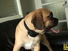 お尻, 浮気する, 服従, フェティッシュ, Hd, ラフ, スパンキング, オッパイの