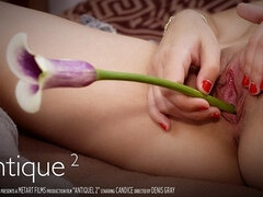 18 jahre, Blondine, Kitzler, Süss, Erotisch, Fingern, Masturbation, Jungendliche (18+)