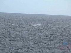 Amateur, Botas, Morena, Corrida, Masturbacion con pies, Calcetines, Tetas, Bajo la falda