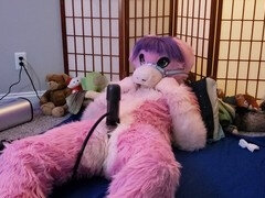 Wooly, fursuit, petplay