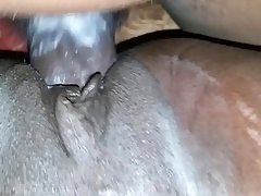 Afrikanisch, Schwanz, Hd