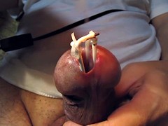 urethra in a very hot white wax