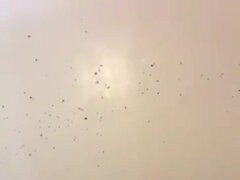 Любители, Большой член, Черные, Постарше, Секс без цензуры, Домашнее видео, Межрасовый секс
