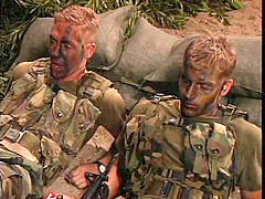 Tales from the foxhole