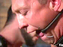 bondage & discipline trio whip subs cock before ass-fuck frigging