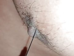 Nipple needle  play and Ants