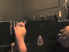 Vintage Tickle Bear Re- Mastered