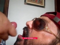 Rio de Janeiro Bull Sucking the Machos Off