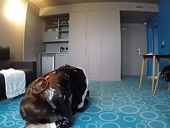 Crossdresser dog training
