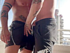 VyrýsovanÃ, british muscle, wolf