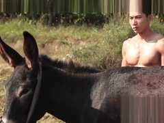 meili renjialiang xiaoyaoyou