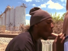 Black rod sucks white