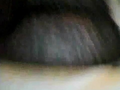 fat tranny ass in pantyhose 7