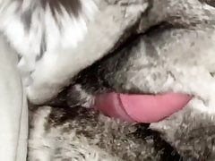 Chnchilla Fur Fetish fun - to soft to fuck this fur