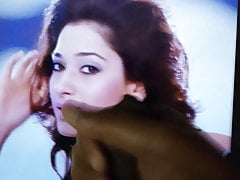 Cum Tribute to Tamanna with Moaning