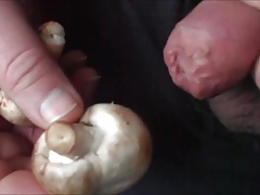 Mushrooms foreskin