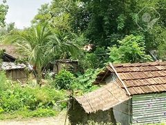 Desi Village Jungle Mein Tapa Tap Desi Bhabhi
