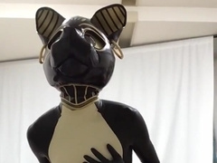 Love Glove Bastet Spunk in his Spandex Catsuit with Magic Hitachi