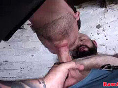 Queer, teddy, fetish