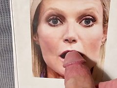 Gwyneth Paltrow Blonde Milf Mature Facial Cum Tribute