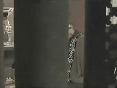 Chivalric Cock - A historic tale