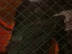 Justin Dragon : Shock 1