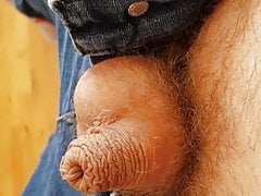 Lovely views of a wrinkly foreskinned little willy